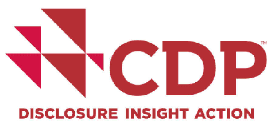 CDP DISCLOSURE INSIGHT ACTION