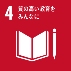 sdg icon