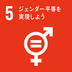 sdg icon