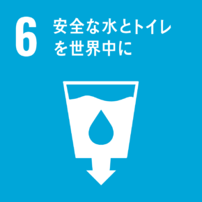 sdg icon