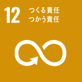 sdg icon