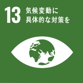 sdg icon