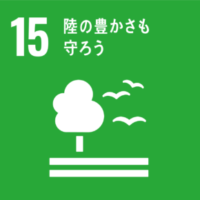 sdg icon