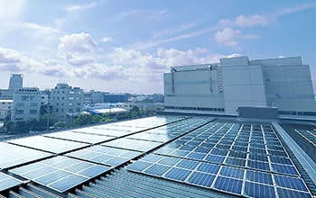 sdg item image